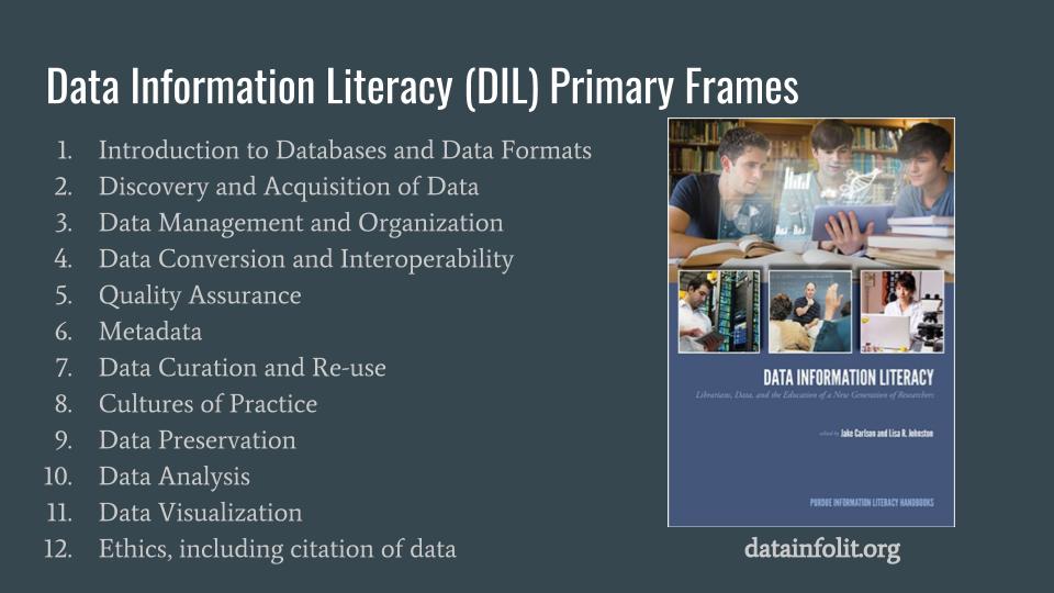 list of data information literacy primary frames